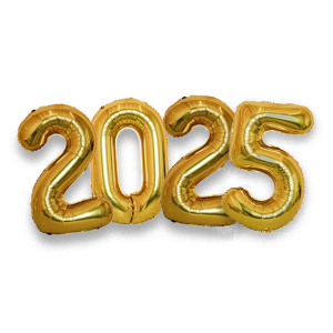   2025 